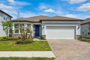 6382 BRADFORD WOODS DRIVE, ZEPHYRHILLS, FL 33542 - MLS#MFRTB8497232