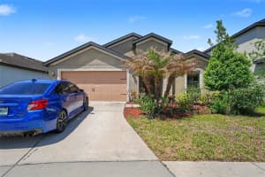 11837 THICKET WOOD DRIVE, RIVERVIEW, FL 33579 - MLS#MFRTB8497244
