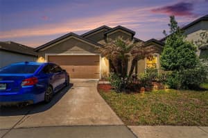 11837 THICKET WOOD DRIVE, RIVERVIEW, FL 33579 - MLS#MFRTB8497244