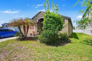 11837 THICKET WOOD DRIVE, RIVERVIEW, FL 33579 - MLS#MFRTB8497244