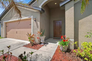 11837 THICKET WOOD DRIVE, RIVERVIEW, FL 33579 - MLS#MFRTB8497244