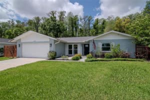 16120 Oakmanor Dr, TAMPA