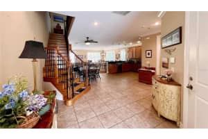 1266 RIBOLLA DRIVE, PALM HARBOR, FL 34683 - MLS#MFRTB8497284