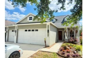 16313 BRIDGECROSSING DRIVE, LITHIA, FL 33547 - MLS#MFRTB8497320