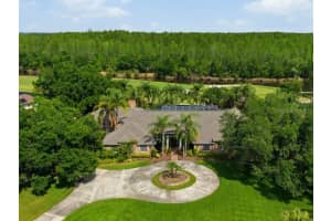18701 PEPPER PIKE, LUTZ, FL 33558 - MLS#MFRTB8497360