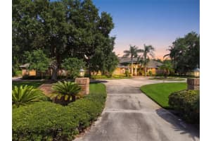 18701 PEPPER PIKE, LUTZ, FL 33558 - MLS#MFRTB8497360