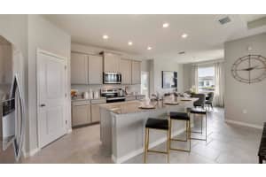 2132 SIENNA SPRUCE STREET, WESLEY CHAPEL, FL 33543 - MLS#MFRTB8497375