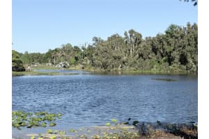 11505 ROME AVENUE, TAMPA, FL 33612 - MLS#MFRTB8497394