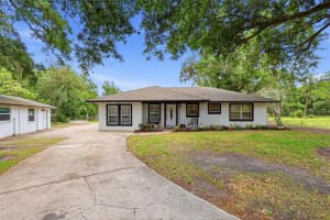 30151 LYNNE DRIVE, WESLEY CHAPEL, FL 33543 - MLS#MFRTB8497398