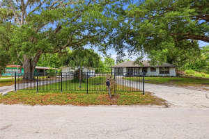 30151 LYNNE DRIVE, WESLEY CHAPEL, FL 33543 - MLS#MFRTB8497398