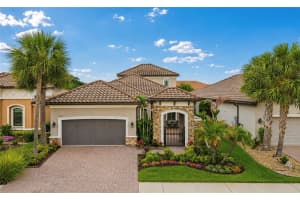 8552 Grand Alberato Rd, TAMPA 8552 Grand Alberato Rd, TAMPA