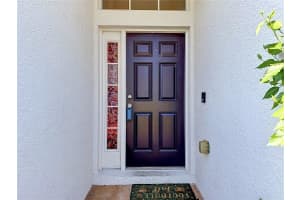 17354 LAWN ORCHID LOOP, LAND O LAKES, FL 34638 - MLS#MFRTB8497425