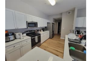 5052 SUNRIDGE PALMS DRIVE, TAMPA, FL 33617 - MLS#MFRTB8497426