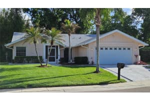 2626 Wendover Ter, PALM HARBOR