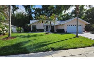 2626 WENDOVER TERRACE, PALM HARBOR, FL 34685 - MLS#MFRTB8497428