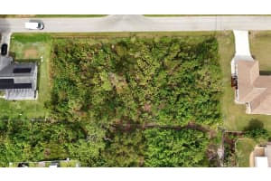 LOTS 3115 & 3116 CYPRESS ROAD, VENICE, FL 34293 - MLS#MFRTB8497431
