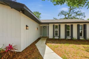 9516 MERRIMOOR BOULEVARD, SEMINOLE, FL 33777 - MLS#MFRTB8497444