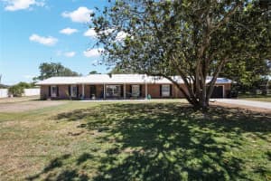 317 7TH STREET, WILLISTON, FL 32696 - MLS#MFRTB8497478