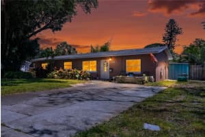 348 LEWIS BOULEVARD, ST PETERSBURG, FL 33705 - MLS#MFRTB8497490