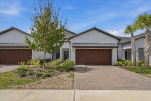 16673 SHELL BAY DRIVE, LAND O LAKES, FL 34638 - MLS#MFRTB8497496