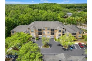 5125 PALM SPRINGS BOULEVARD, TAMPA, FL 33647 - MLS#MFRTB8497531