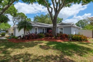 3116 COVENTRY LANE, SAFETY HARBOR, FL 34695 - MLS#MFRTB8497532