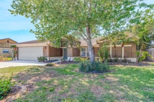 3006 SPRAWLING OAKS PLACE, VALRICO, FL 33596 - MLS#MFRTB8497543