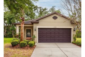 6408 Yellow Buckeye Dr, RIVERVIEW