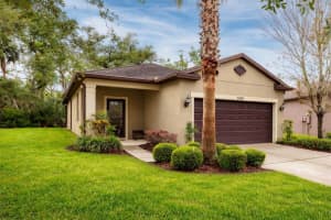 6408 YELLOW BUCKEYE DRIVE, RIVERVIEW, FL 33578 - MLS#MFRTB8497545