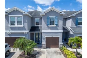 8108 MUDDY PINES PLACE, TAMPA, FL 33635 - MLS#MFRTB8497550