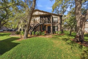4022 Tumble Wood Trl #201, TAMPA