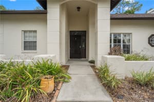 3632 COLD CREEK DRIVE, VALRICO, FL 33596 - MLS#MFRTB8497601
