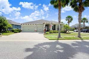 11642 LAKE LUCAYA DRIVE, RIVERVIEW, FL 33579 - MLS#MFRTB8497617