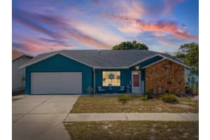 11443 NATURE TRAIL, PORT RICHEY, FL 34668 - MLS#MFRTB8497647