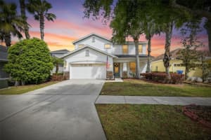 8115 Savannah Point Ct, TAMPA