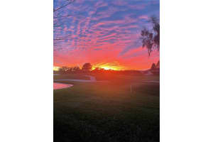 3085 SHOAL CREEK VILLAGE DRIVE, LAKELAND, FL 33803 - MLS#MFRTB8497655