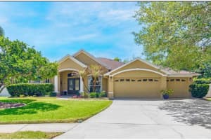 4415 Merrick Run Ln, VALRICO