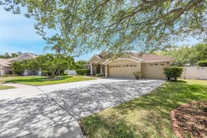 4415 MERRICK RUN LANE, VALRICO, FL 33596 - MLS#MFRTB8497657