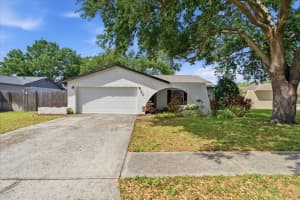 5405 STORK COURT, TAMPA, FL 33625 - MLS#MFRTB8497665