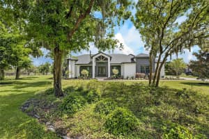 16410 ALDERMAN TURNER ROAD, WIMAUMA, FL 33598 - MLS#MFRTB8497672
