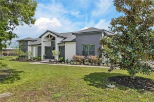 16410 ALDERMAN TURNER ROAD, WIMAUMA, FL 33598 - MLS#MFRTB8497672