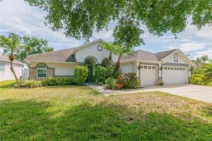 7227 COLONIAL LAKE DRIVE, RIVERVIEW, FL 33578 - MLS#MFRTB8497710