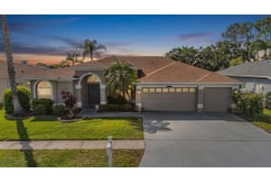 15922 MUIRFIELD DRIVE, ODESSA, FL 33556 - MLS#MFRTB8497721