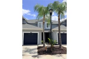 10321 WILLOW LEAF TRAIL, TAMPA, FL 33625 - MLS#MFRTB8497731