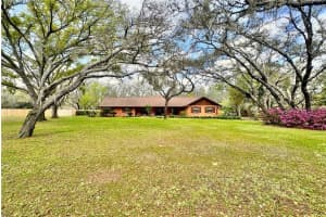 12506 Shadow Run Blvd, RIVERVIEW