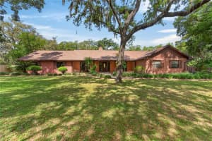 12506 SHADOW RUN BOULEVARD, RIVERVIEW, FL 33569 - MLS#MFRTB8497746