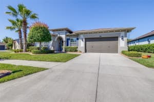 2397 GWYNHURST BOULEVARD, WESLEY CHAPEL, FL 33543 - MLS#MFRTB8497747