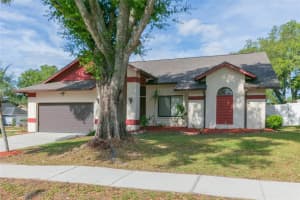 2528 BRIMHOLLOW DRIVE, VALRICO, FL 33596 - MLS#MFRTB8497757