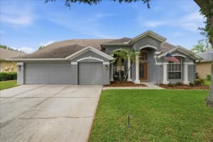 4408 Winding River Dr, VALRICO