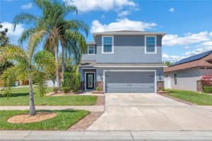 10902 RAINBOW PYRITE DRIVE, WIMAUMA, FL 33598 - MLS#MFRTB8497772
